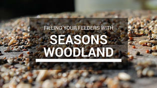  seasons-woodland-bird-seed