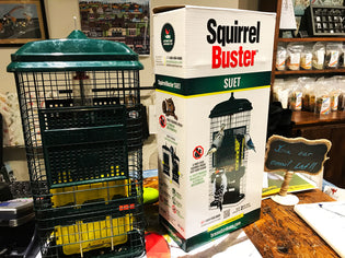  squirrel-buster-suet-feeder