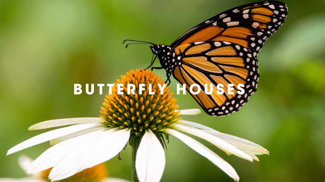  Butterfly Houses