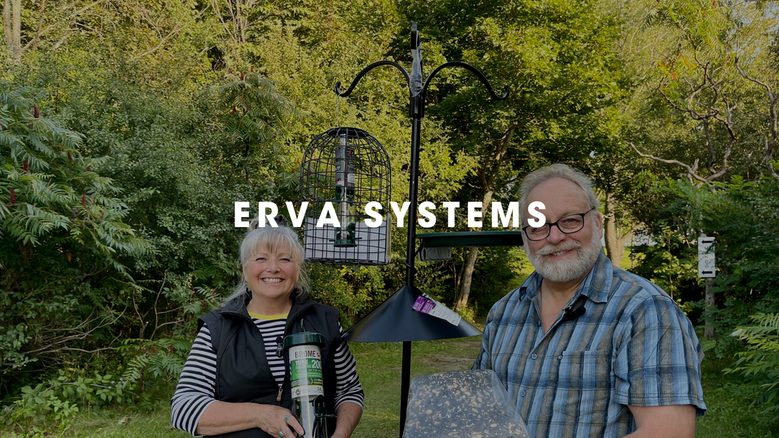  Erva Systems Gilligallou Bird. Erva pole system with three bird feeders attached.