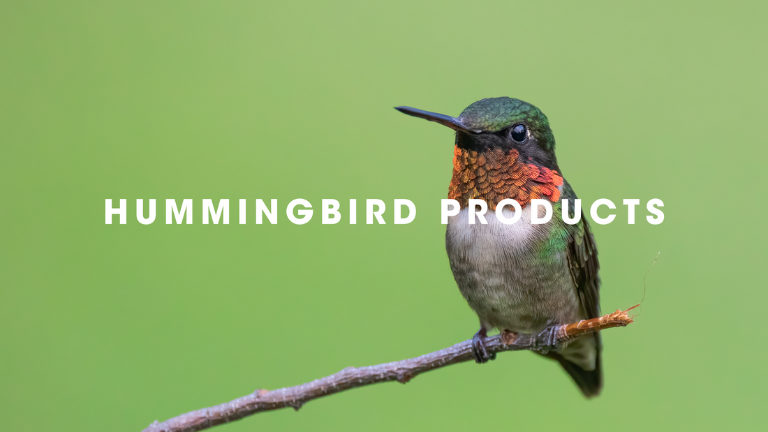  Humming Bird Products