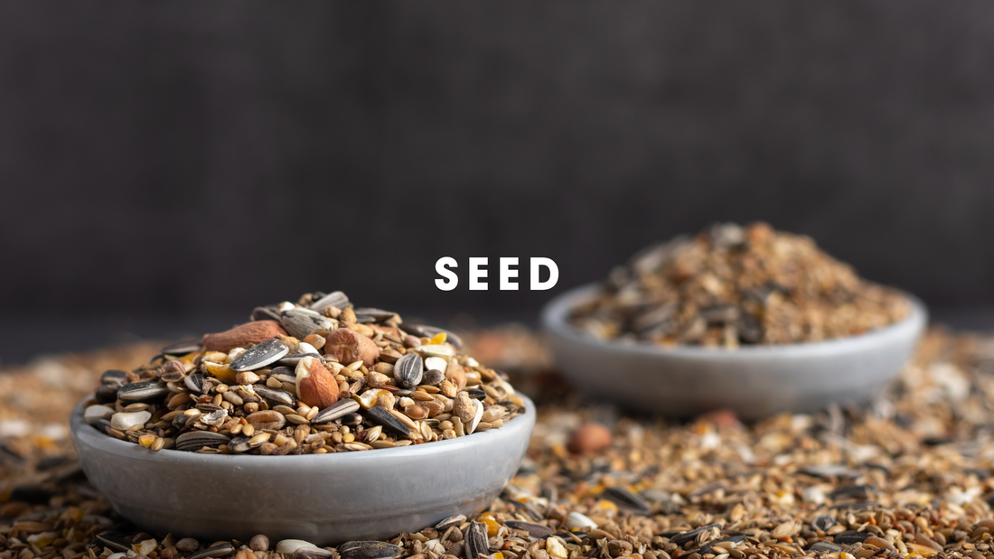  Seed Gilligallou Bird. Two bowls of bird seeds.