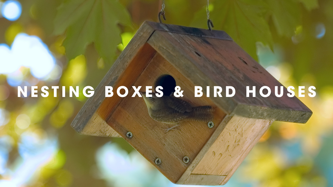  Nesting Boxes and Bird Houses