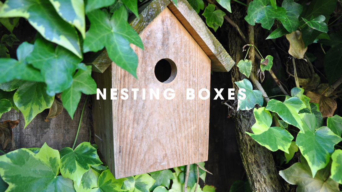  Nesting Boxes Gilligallou Bird. Bird nesting box in green foliage.