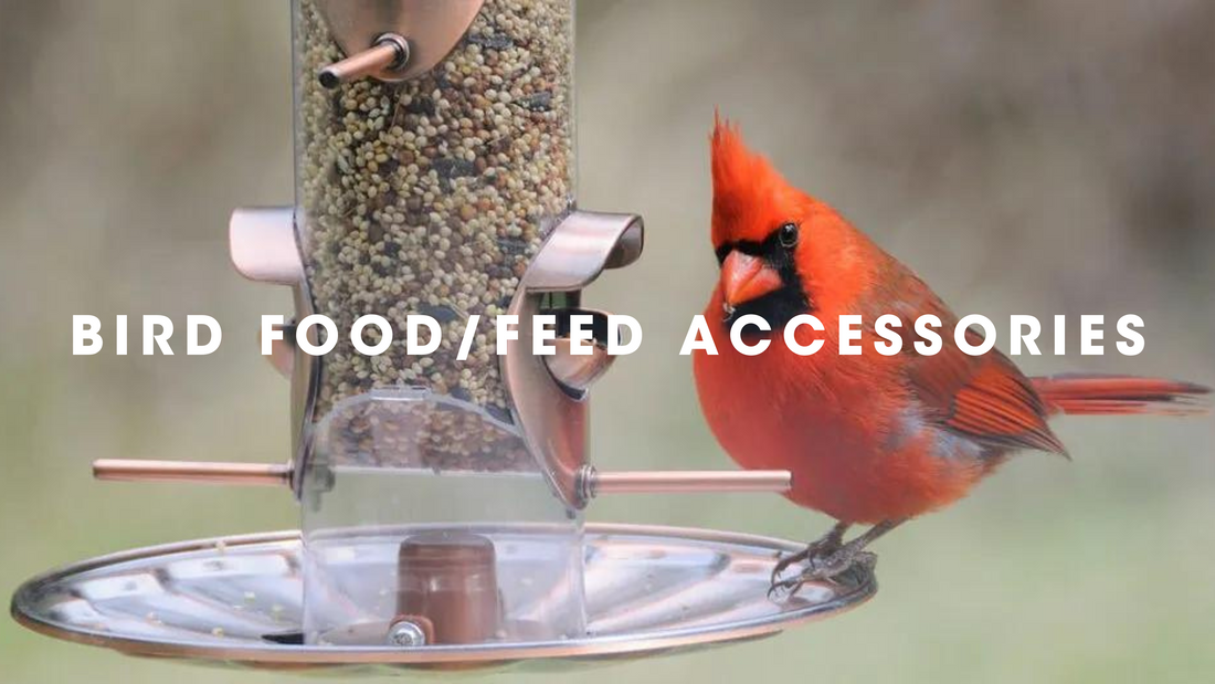  Bird Food/Feed Accessories Gilligallou Bird. Cardinal on Aspect feeder.