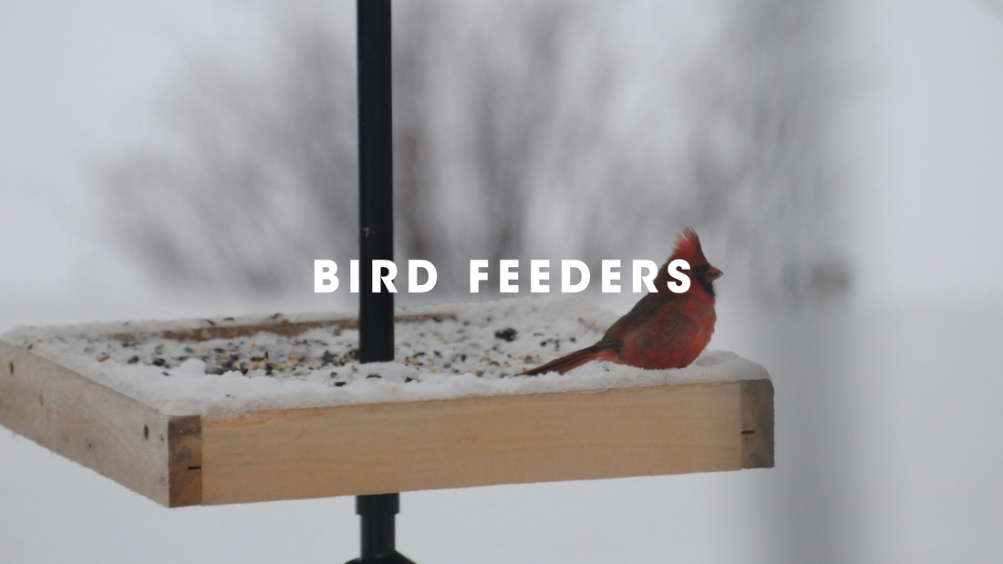  Bird Feeders