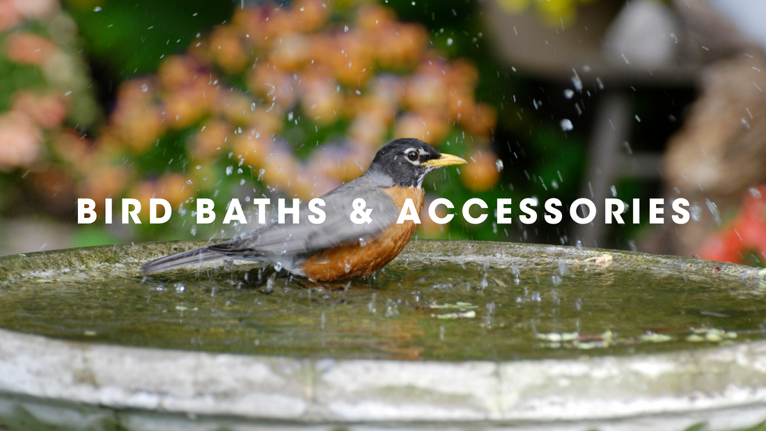  Bird Baths and Accessories Gilligallou Bird. Bird splashing in bird bath.