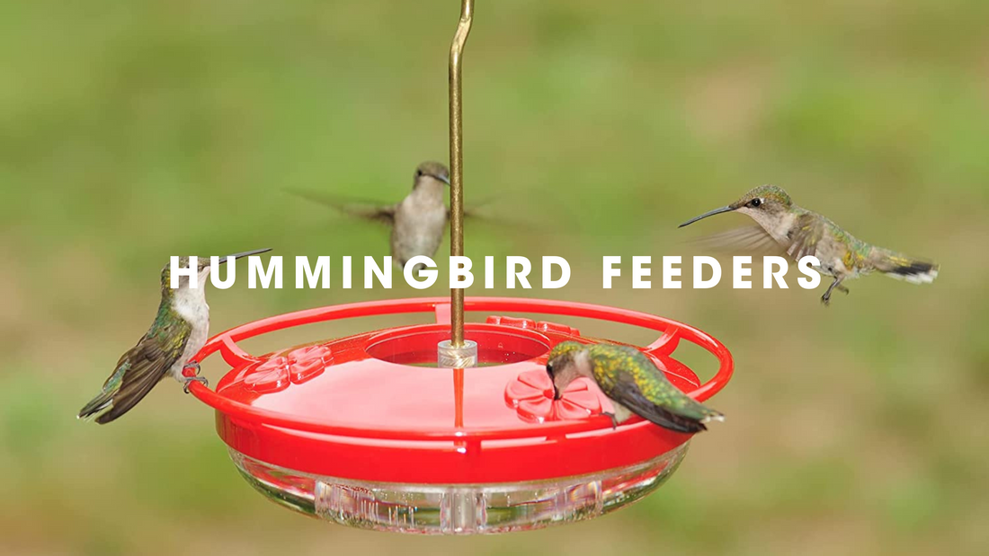  Hummingbird Feeders