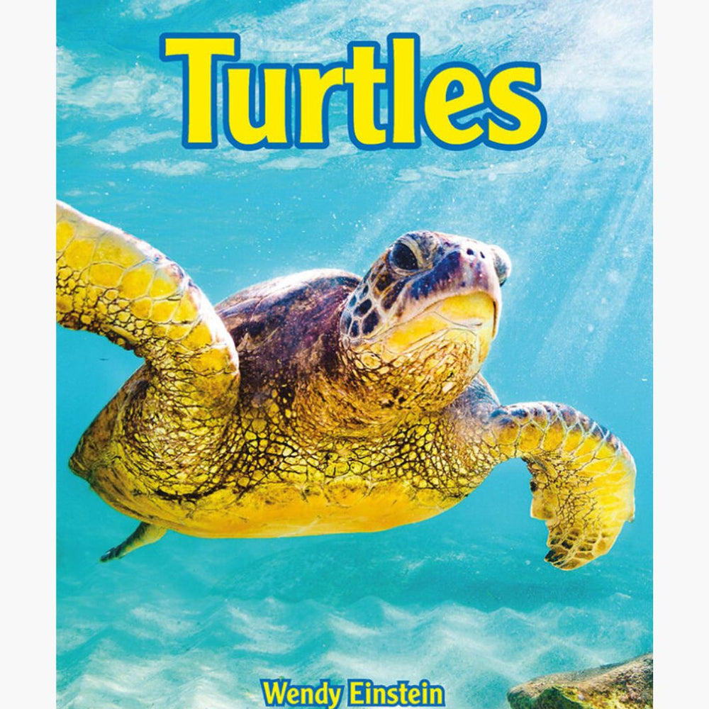 Turtles, KidsWorld