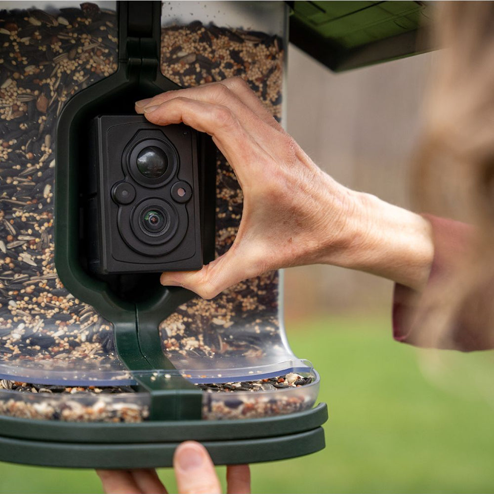 
                      
                        FeatherSnap Scout - Wifi Solar-Powered Smart Bird Feeder
                      
                    