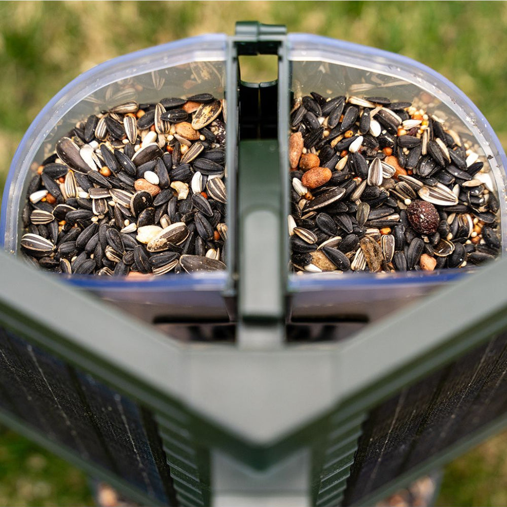 
                      
                        FeatherSnap Scout - Wifi Solar-Powered Smart Bird Feeder
                      
                    