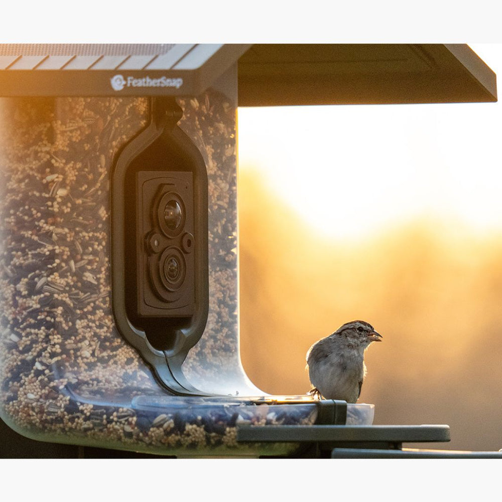 
                      
                        FeatherSnap Scout - Wifi Solar-Powered Smart Bird Feeder
                      
                    