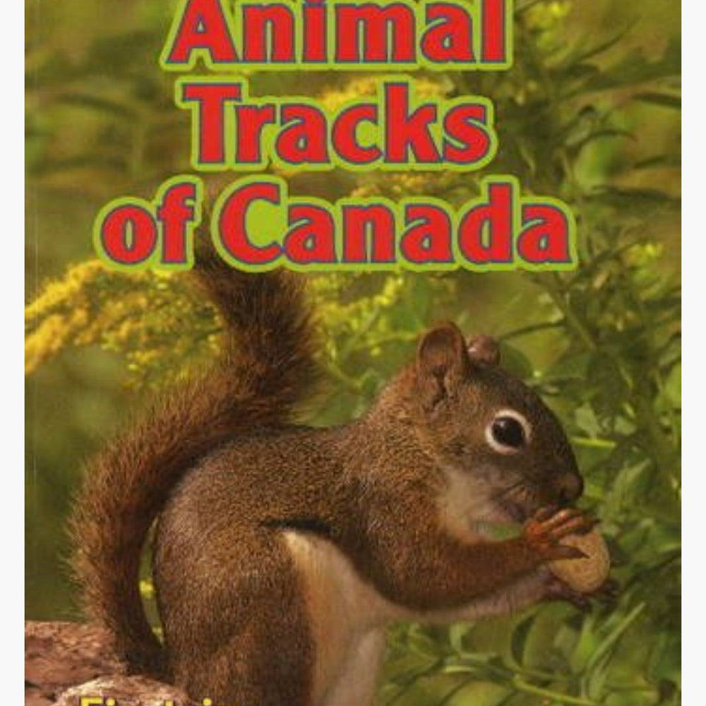 Animal Tracks of Canada, KidsWorld