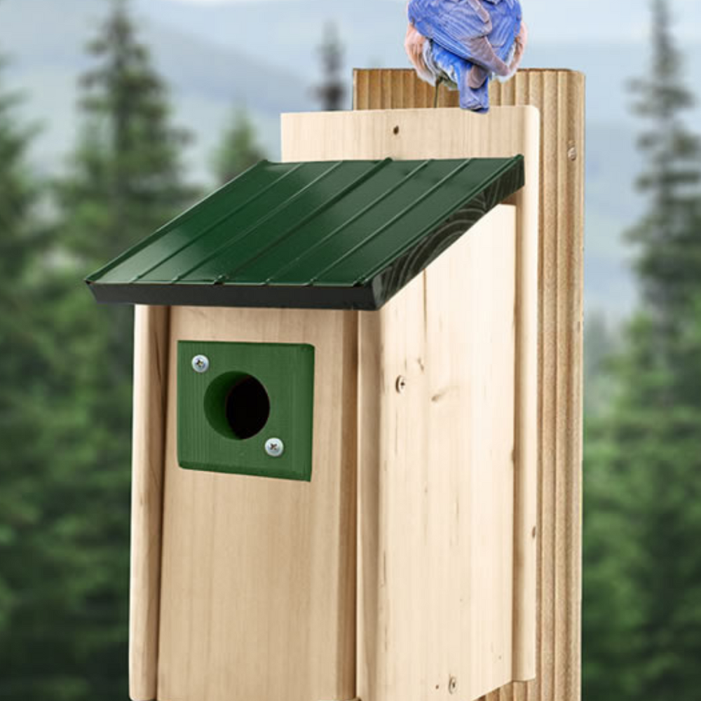 
                      
                        Bluebird House with Predator Guard
                      
                    