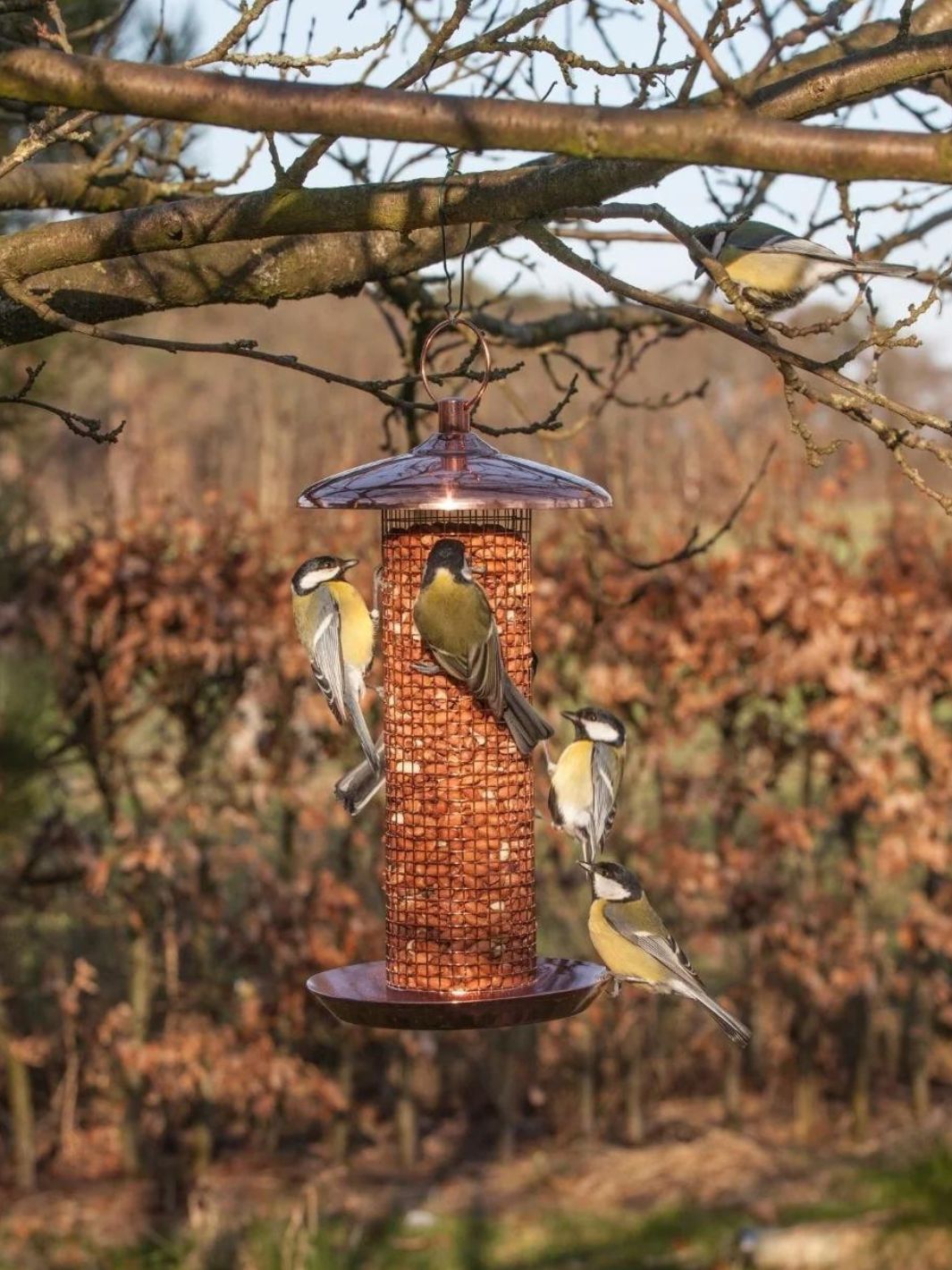 Copperplated Nut Feeder