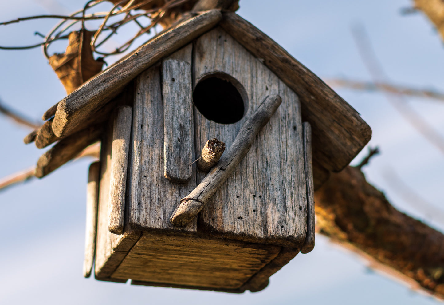 bird house