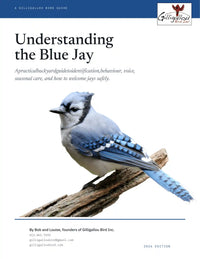 Understanding the Blue Jay