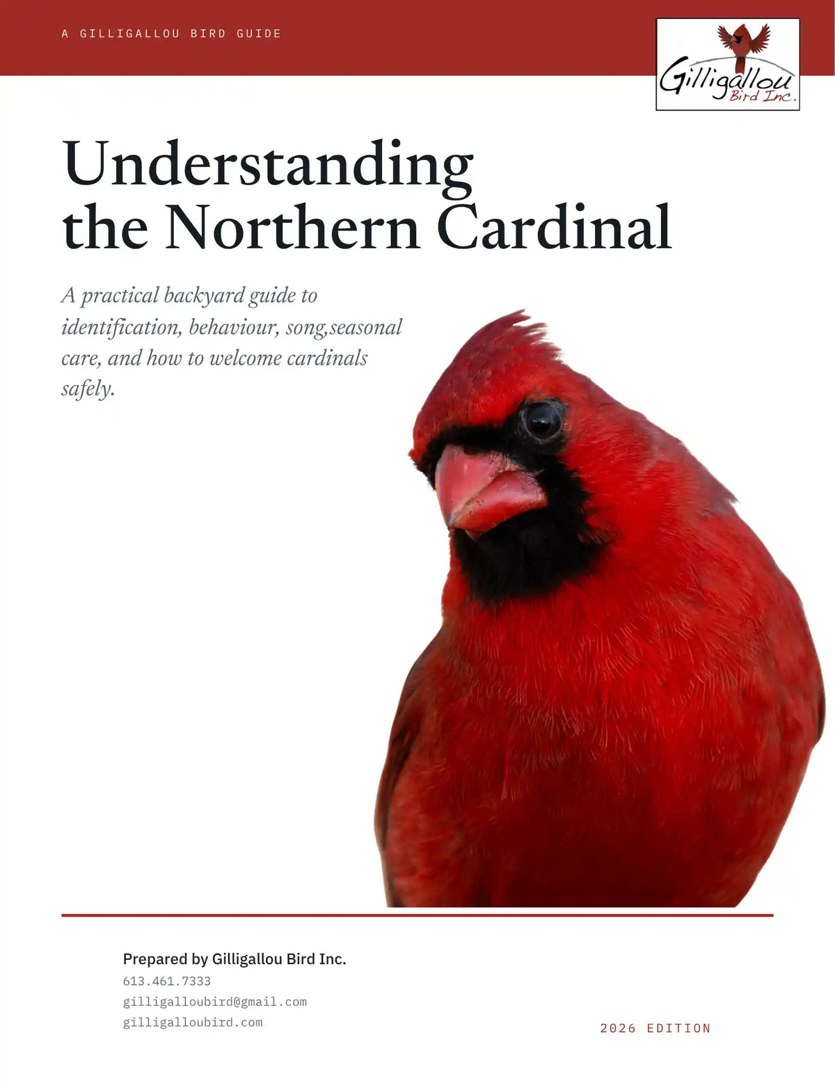 Understanding the Northern Cardinal