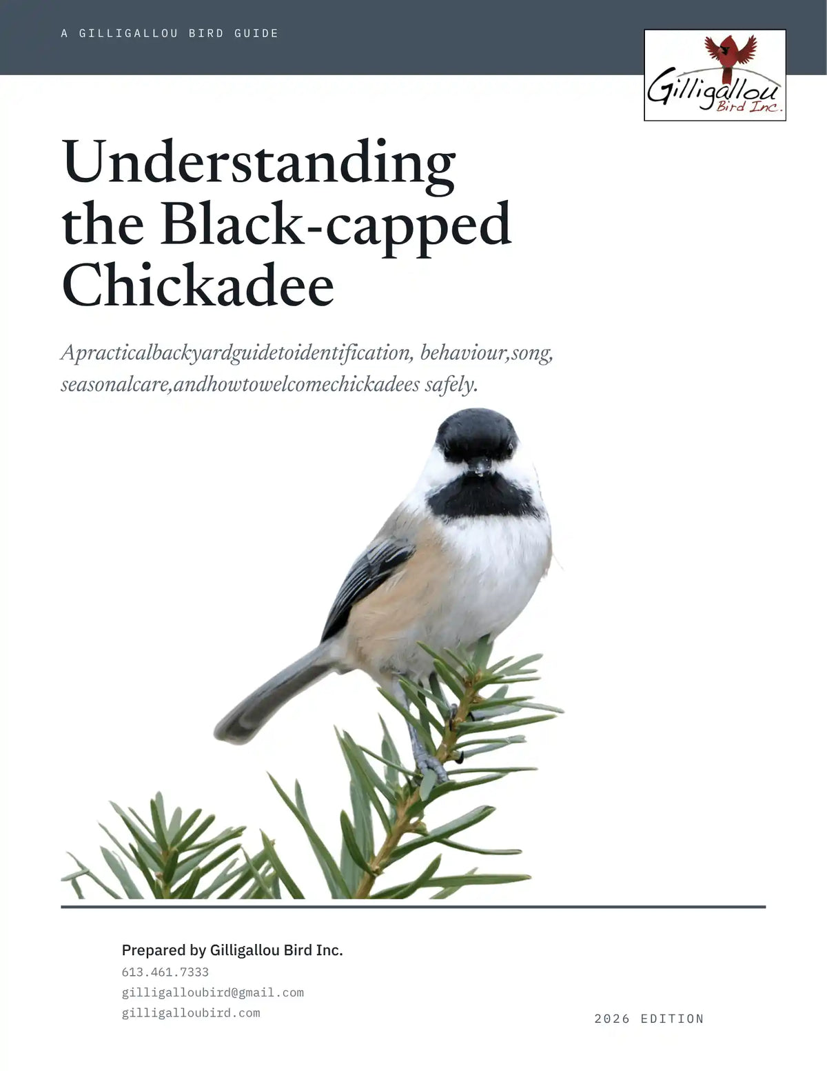 Understanding the Black-capped Chickadee