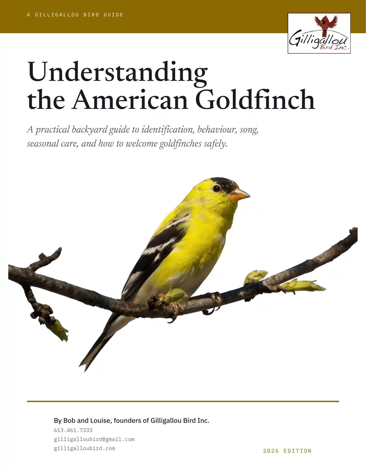 Understanding the American Goldfinch