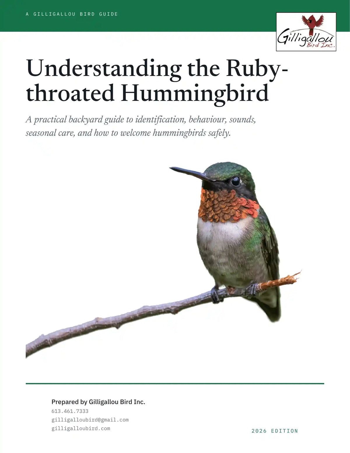 Understanding the Ruby-throated Hummingbird