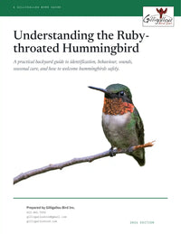 Understanding the Ruby-throated Hummingbird