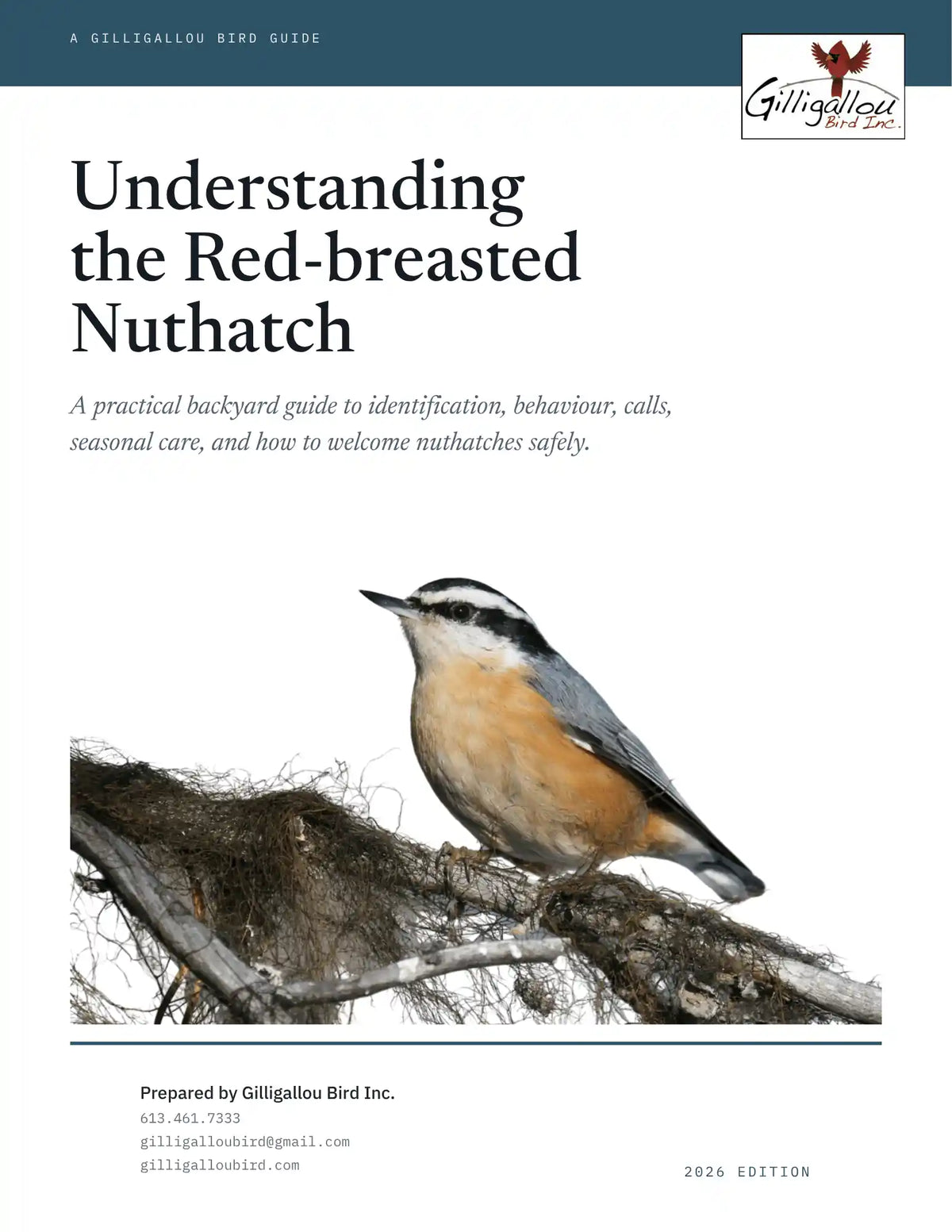 Understanding the Red-breasted Nuthatch
