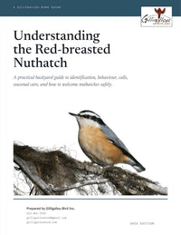 Understanding the Red-breasted Nuthatch