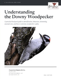Understanding the Downy Woodpecker