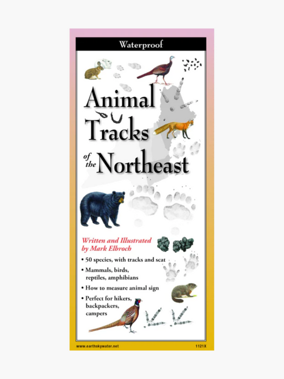 Animal Tracks of the Northeast - Folding Guide