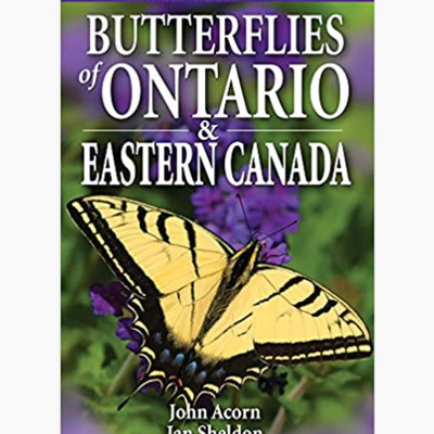 Butterflies of Ontario & Eastern Canada