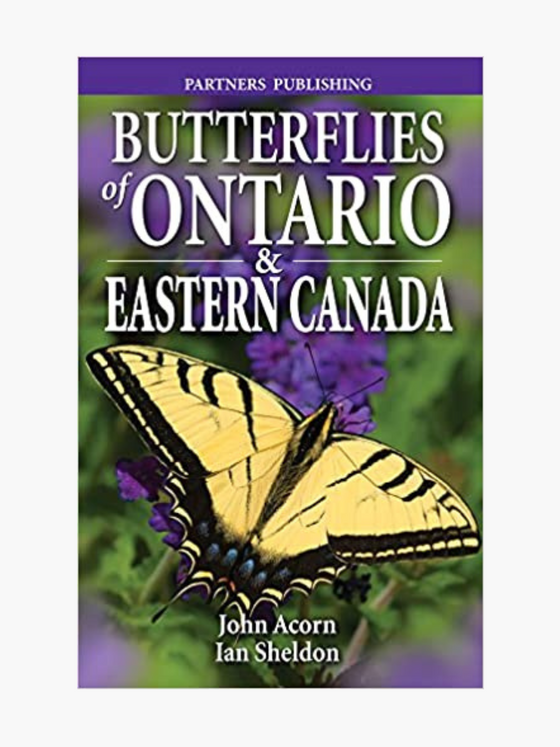 Butterflies of Ontario & Eastern Canada