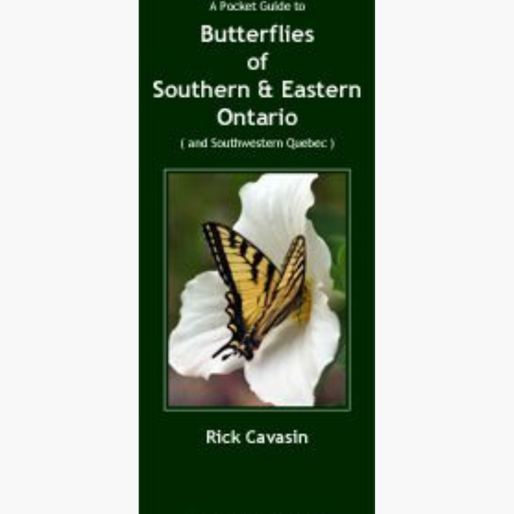 
                      
                        Field Guide to Butterflies of Southern & Eastern Ontario
                      
                    