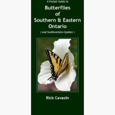 Field Guide to Butterflies of Southern & Eastern Ontario