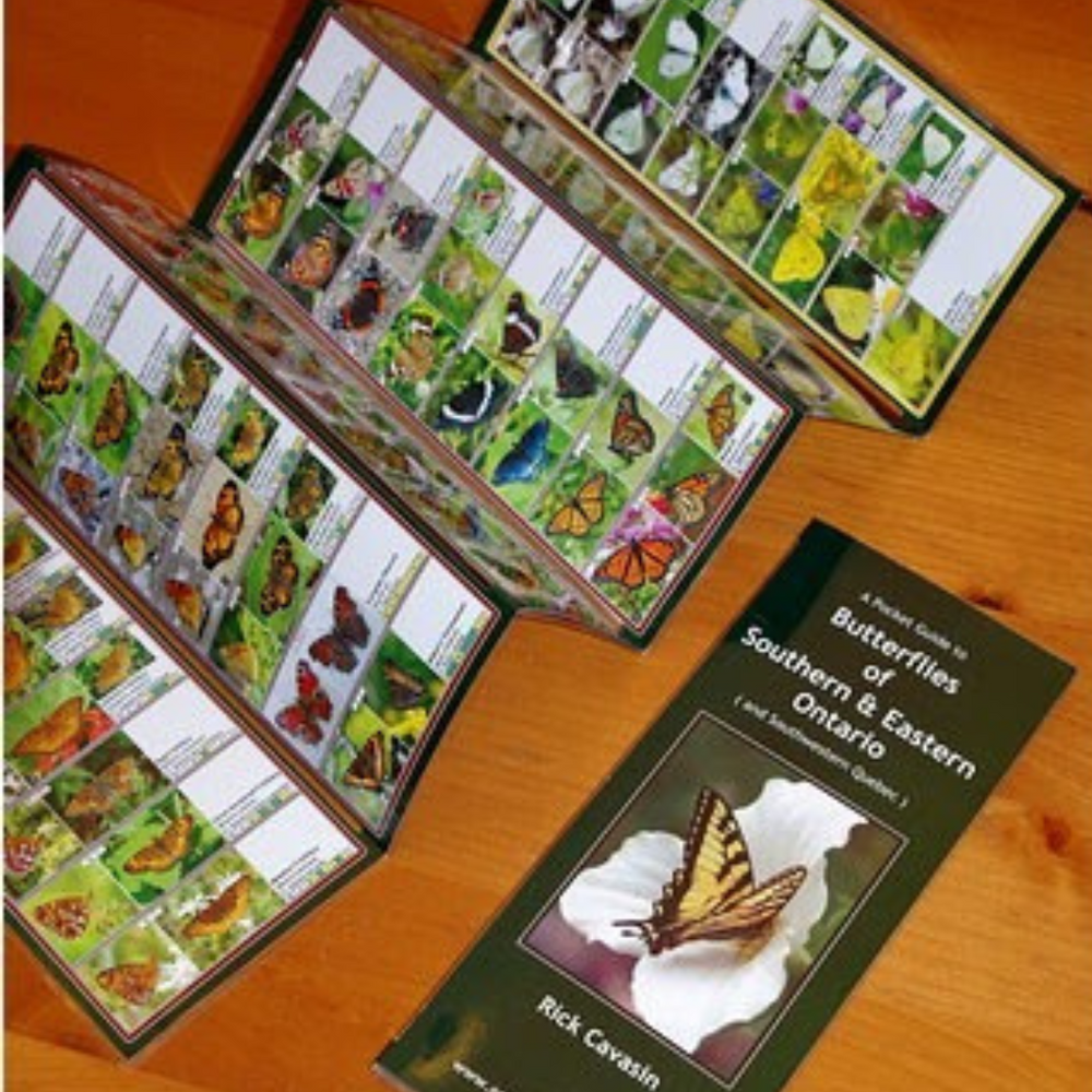 
                      
                        Field Guide to Butterflies of Southern & Eastern Ontario
                      
                    