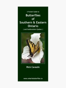  Field Guide to Butterflies of Southern & Eastern Ontario