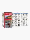Great Lakes Birds - Folding Guide