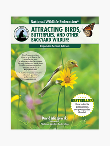 Attracting Birds, Butterflies and Other Backyard Wildlife