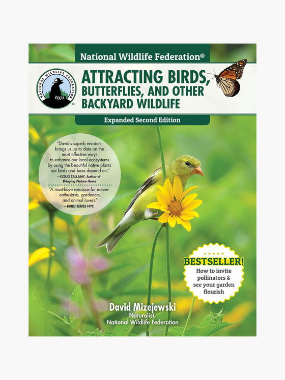 Attracting Birds, Butterflies and Other Backyard Wildlife