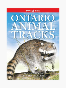  Ontario Animal Tracks