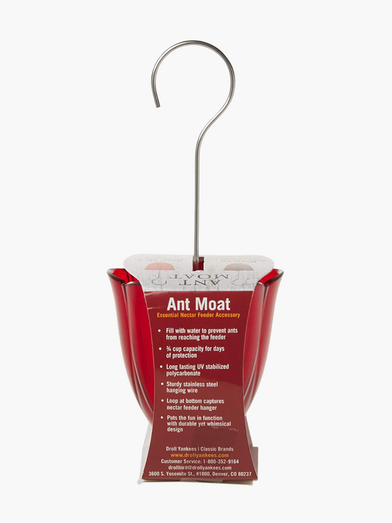 Ant Moat Ruby