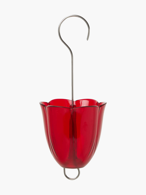 Ant Moat Ruby