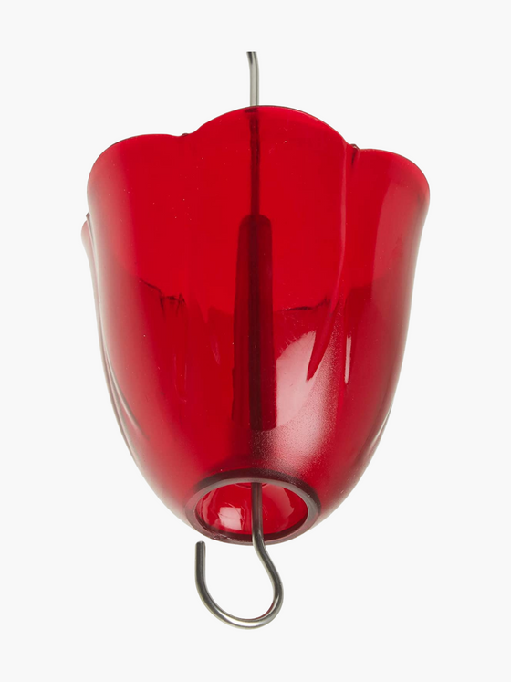 Ant Moat Ruby