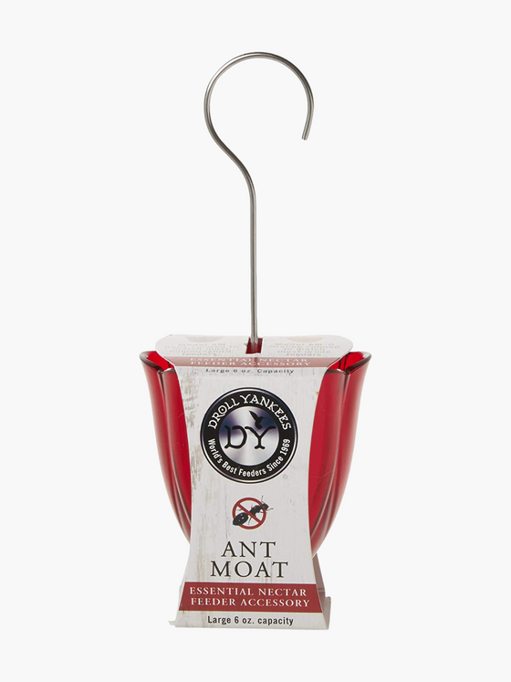Ant Moat Ruby