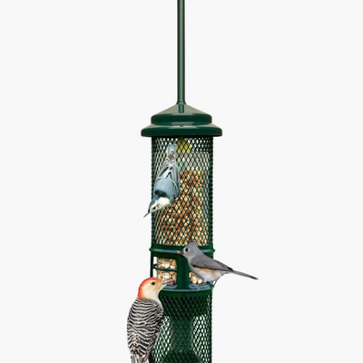 Squirrel Buster Peanut Feeder