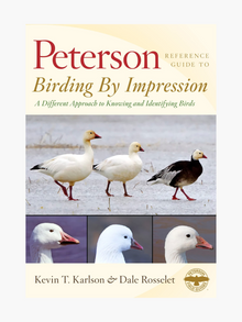  Birding by Impression: A Different Approach to Knowing & Identifying Birds
