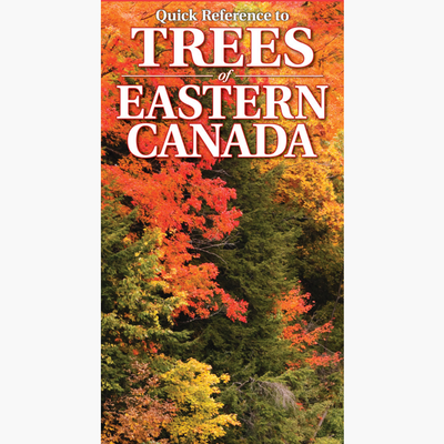Quick Reference to Trees of Eastern Canada - Folding Guide