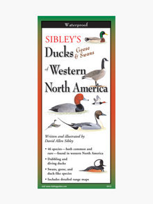  Ducks, Geese, and Swans of Western North America - Folding Guide