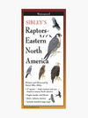 Raptors of Eastern North America - Folding Guide