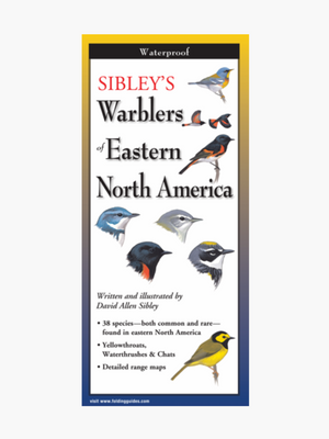 Warblers of Eastern North America - Folding Guide